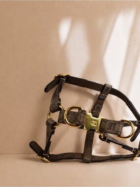 Gucci dog harness xs